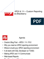 Caunitz APEX Custome Reporting