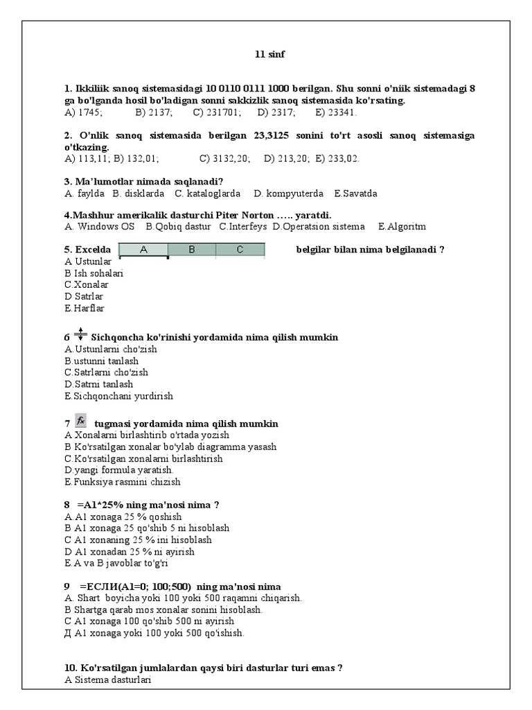 11 Sinf Informatika Testlar 2 | PDF