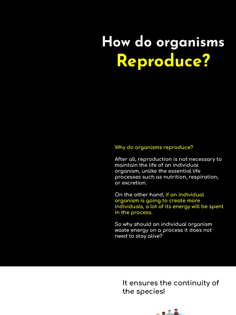 Asexual Reproduction PDF Reproduction Regeneration (Biology)