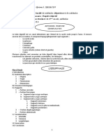 Anato2an Poly-Oesophage2019grine