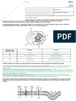 Examen Final Biología para Practicar