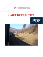 Caiet de Practică Iacob