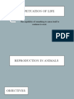 Perpetuation of Life Animal Reproduction
