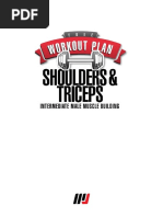 Intermediate Shoulders & Triceps