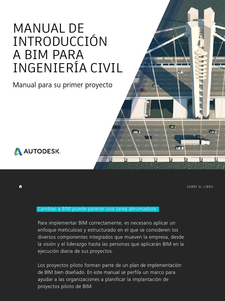 Bim Manual | PDF | Modelado de información de construcción | Planificación