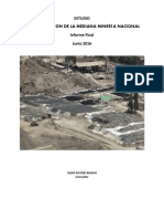 Informe Caracterización Mediana Minería (Junio 2016)