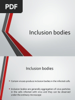 Inclusion Bodies in Histopathology | PDF | Epithelium | Cytoplasm