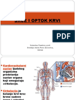 Srce I Optok Krvi