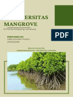 Mangrove Biodiversity