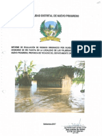 3884 - Evaluacion de Riesgos Por Inundacion Fluvial Por Desborde Del Rio Pacota en La Localidad de Las Palmeras