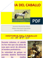 Dokumen - Tips - Historia Del Caballo 568e80286810f