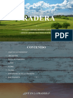 Pradera: características, clima, flora y fauna de este ecosistema natural