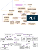 Mapas Conceptuales Ginybet Calderón