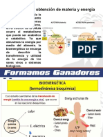 Definicon y Obtencion de La Materia