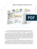 Explicação Do Mapa Conceitual Do Tecido Nervoso - Maria Karolliny Luz Da Conceição