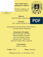 5dendritas Infografía MycobacteriumTuberculosisyCorynebacteriumdiphtheriae C