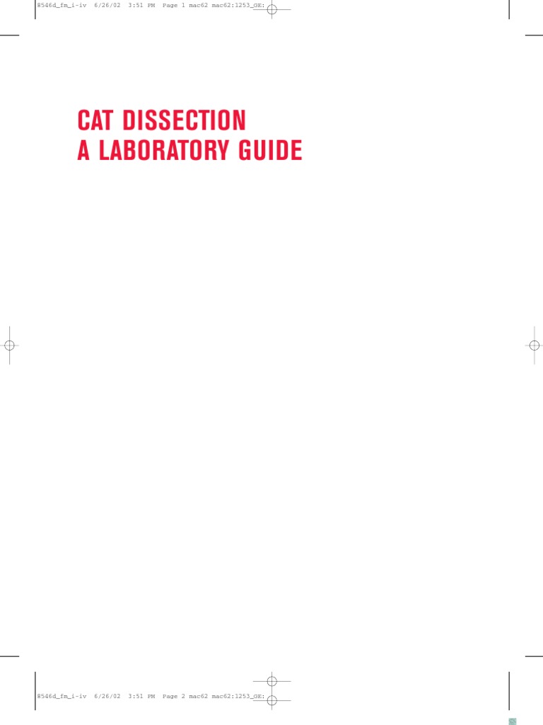 Cat Dissection Guide Net PDF Aorta Common Carotid Artery