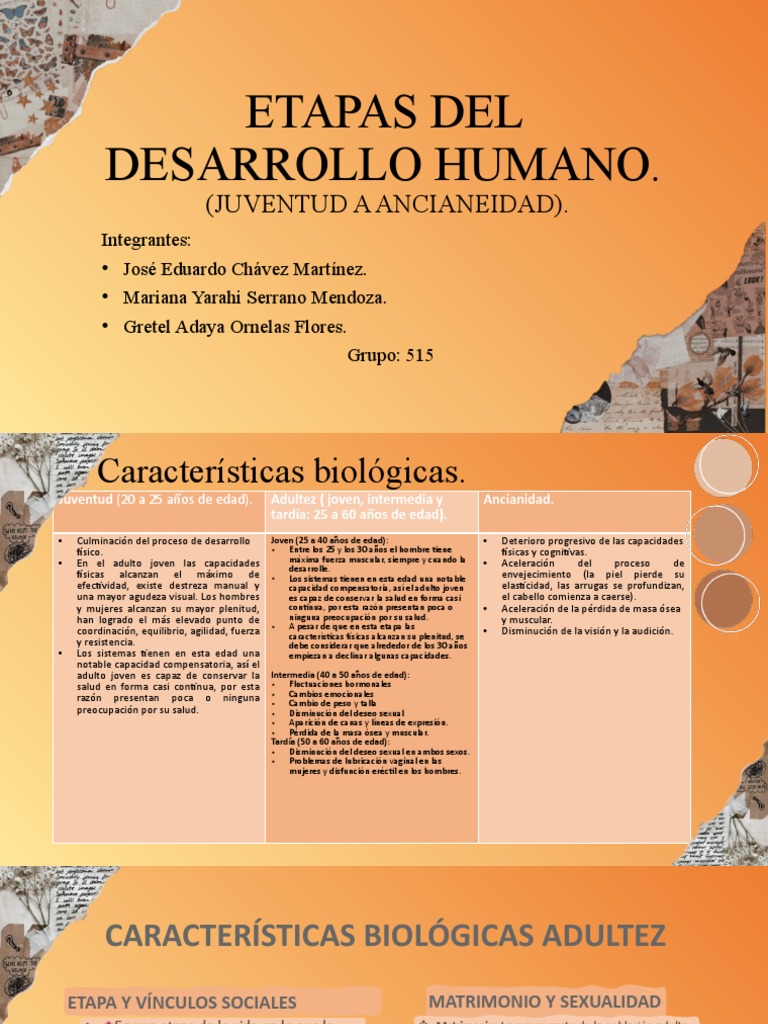 Etapas Del Desarrollo Humano Cs515 | PDF | Adultos | La sexualidad humana