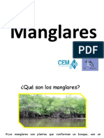Presentacic3b3n Manglares Taller Maestros