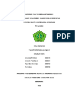 Laporan Praktik Kerja Lapangan II