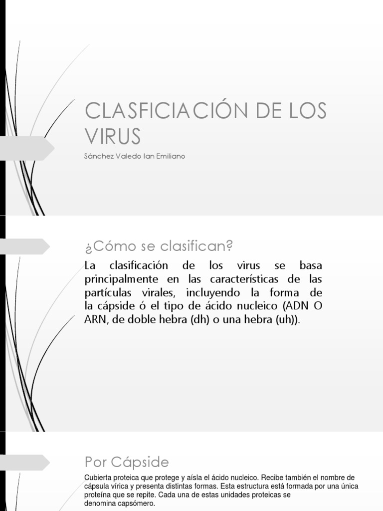 Clasficiación de Los Virus | PDF