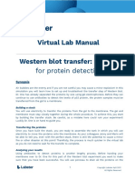 WBT Western Blot Transfer Prepare For Protein Detection Lab Manual (English)