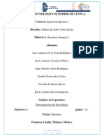 Reporte N.2 Determinación de Densidades.