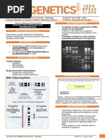 Cytogenetics Topic 9