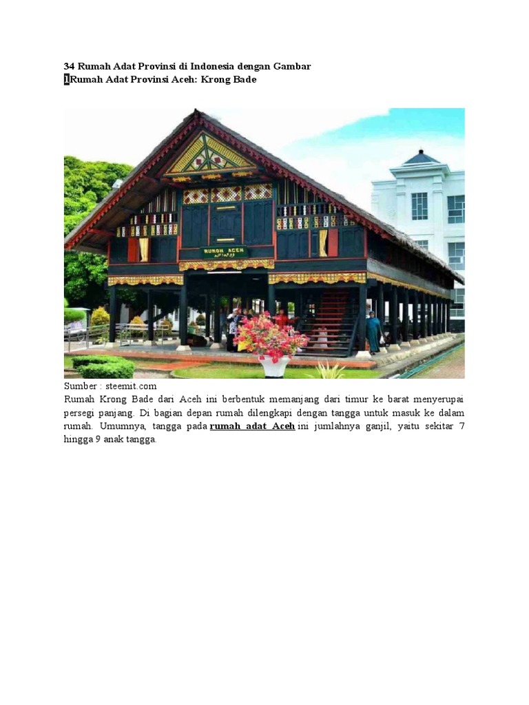 34 Rumah Adat Provinsi Di Indonesia Dengan Gambar | PDF