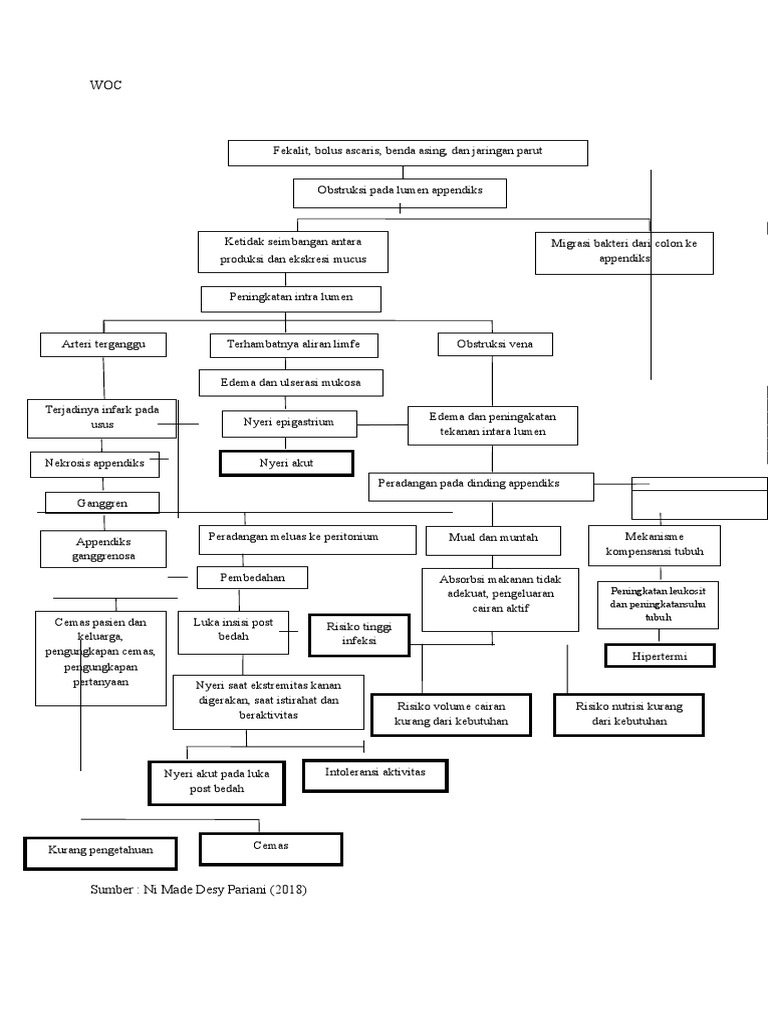 Pathway Apendisitis Akut dan Perawatannya | PDF