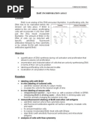 Download BrdU Assay Principle by bookonscribd SN62647132 doc pdf