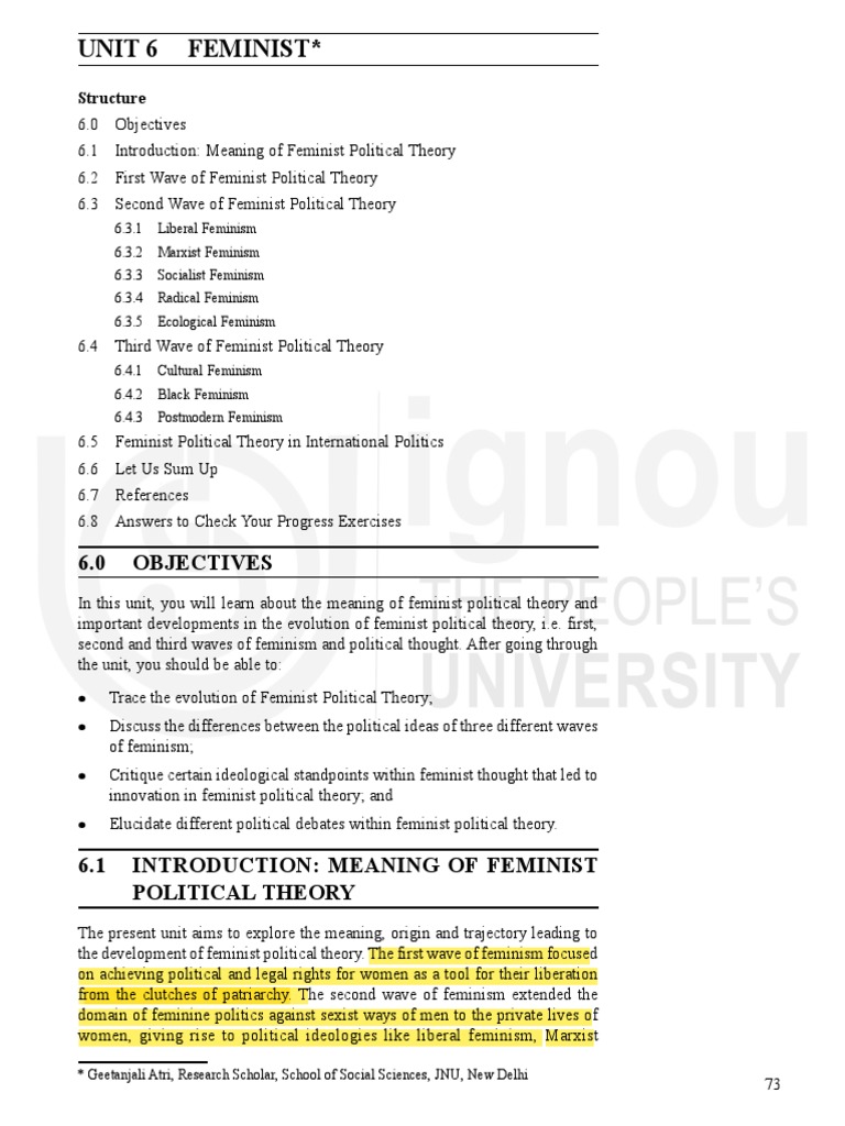Evolution of Feminist Political Theory | PDF | Feminism | Gender Studies