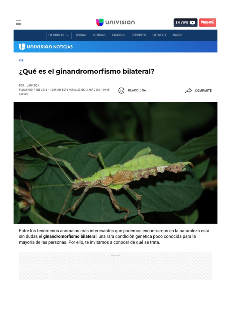 ¿Qué Es El Ginandromorfismo Bilateral? Explora Univision PDF