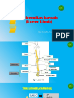 Pertemuan 11 Extremitas Bawah 4 Desember 2020