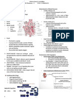 Pharmacology of Cardiovascular, Renal and Hematologic Systems