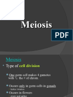 GB1 Meiosis 3rd Week