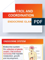 Endocrine Glands and Their Functions