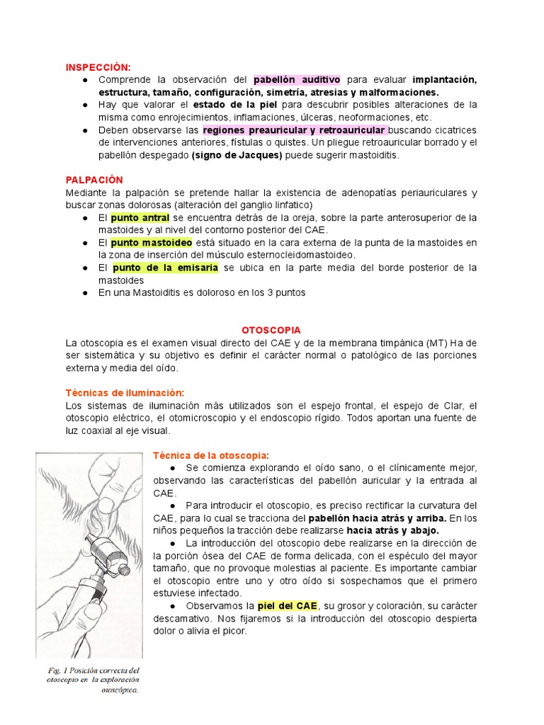 Exploración OIDO | PDF | Oído | Otorrinolaringología