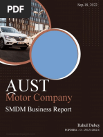 Business Report - 1 (Austo Automobies)