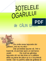 Ciubotele Ogarului