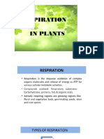 Respiration in Plants Slideshare