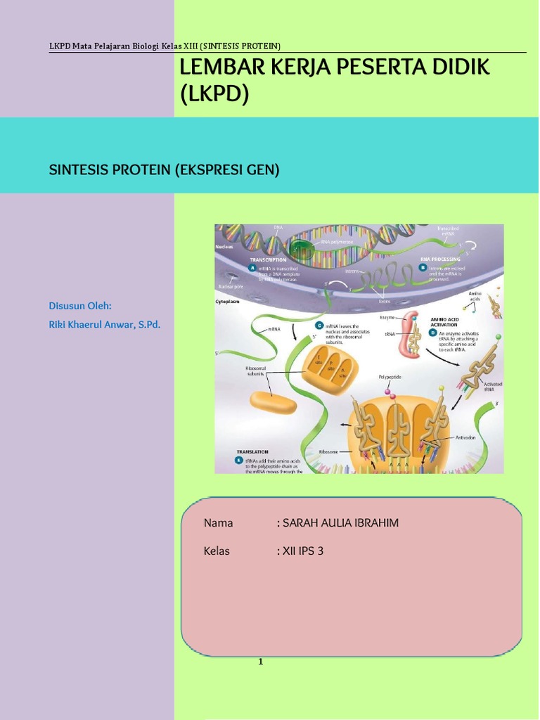 Sintesis Protein (Ekspresi Gen) | PDF | Kesehatan Holistik | Sains ...