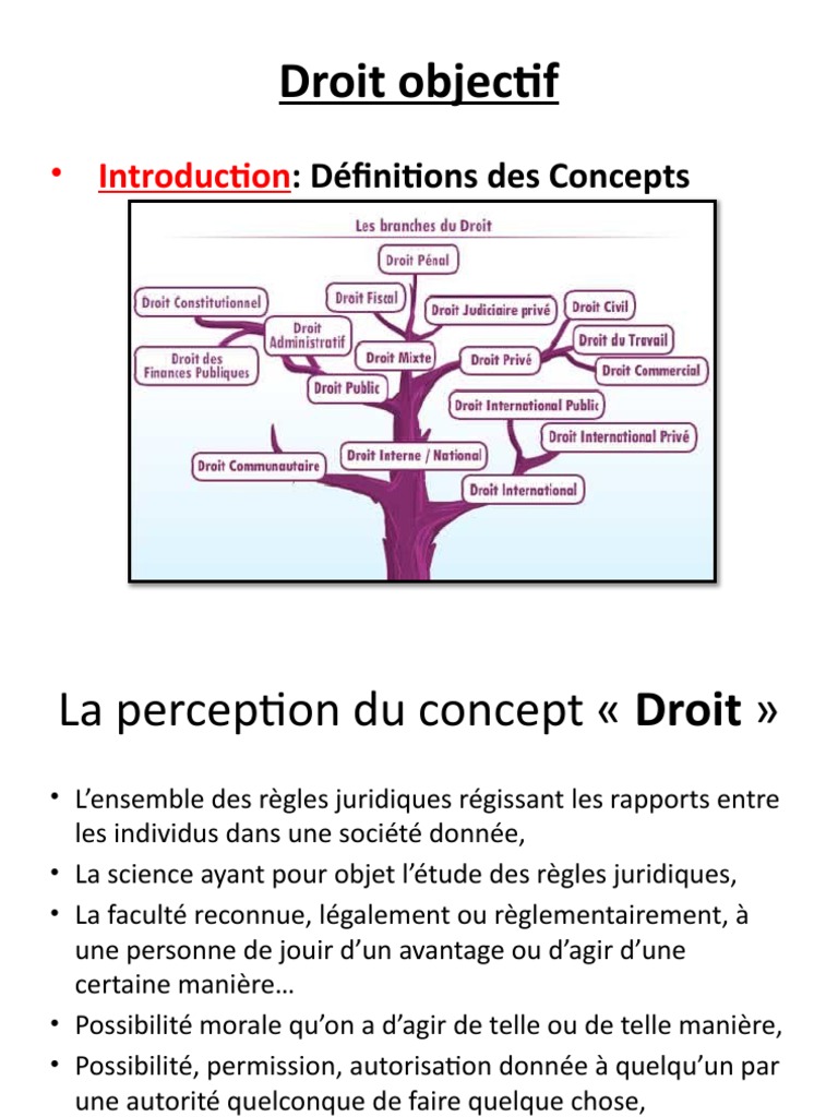 Cours de Droit 2022 2023 | PDF | Loi naturelle | Éthique appliqué