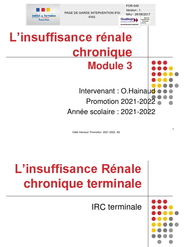 Insuffisance rénale chronique : causes et traitements | PDF ...