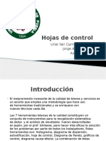 272846386-Hojas-de-Control