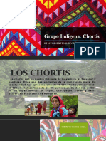 Presentacion Chortis