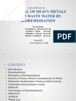 Removal of Heavy Metals in Waste Water Presentation