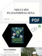 Plataformas Sena