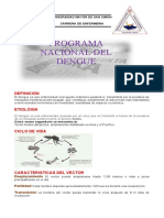 Dengue Informe