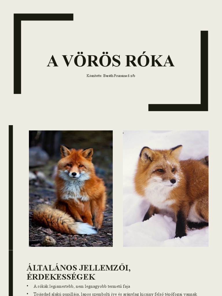 Baráth Fruzsina-A Vörös Róka | PDF